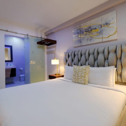 Standing Double room 1 King bed