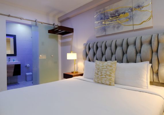 Standing Double room 1 King bed